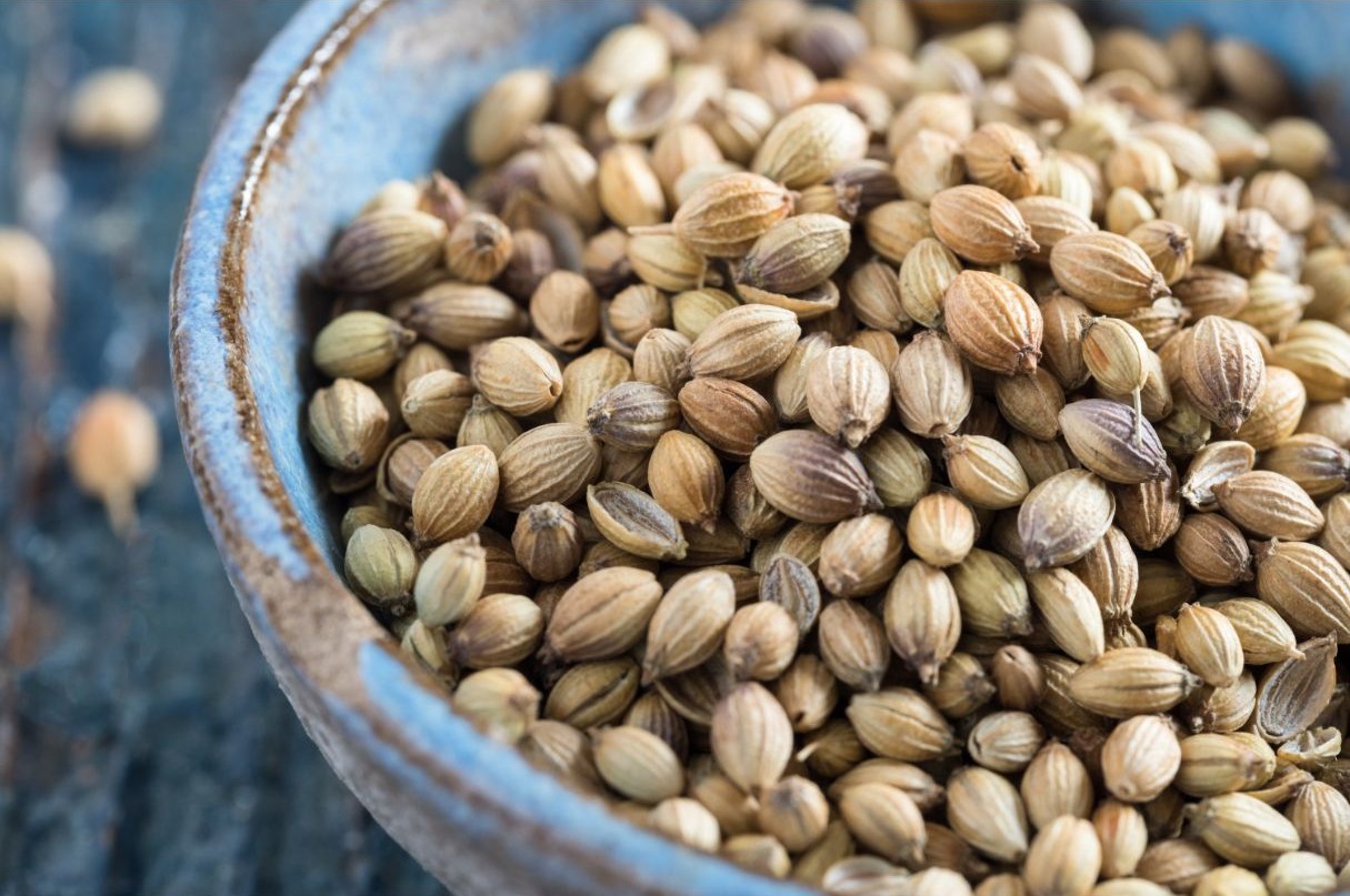 coriander